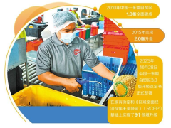 中国—东盟自贸区进入新发展阶段