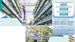 农企科技创新底气更足