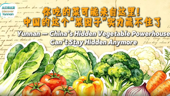 【从云南出发】你吃的菜可能来自这里！中国的这个“菜园子”实力藏不住了_fororder_菜园子