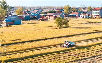 前三季度农业农村经济运行总体平稳