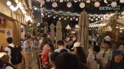 “沉浸式入戏”为“悦己”体验买单 IP乐园依托“场景升级+夜游赋能”激活消费新增量