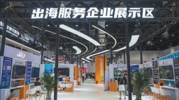 “中国服务”阔步走向世界