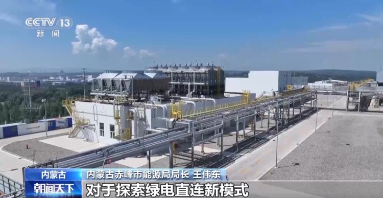 我国最大绿色氢氨项目正式投产 电力100%来自上游绿电