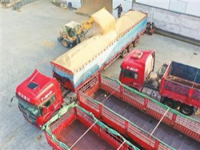 大国粮仓家底更厚实
