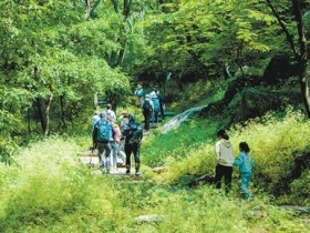 新场景新业态竞相涌现  秋日消费新意扑面来