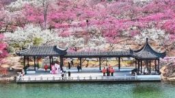 消费市场活力迸发