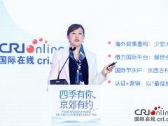 张莉：以IP为媒对话世界 探寻乡村文旅“走出去”的中国样本