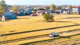 前三季度农业农村经济运行总体平稳