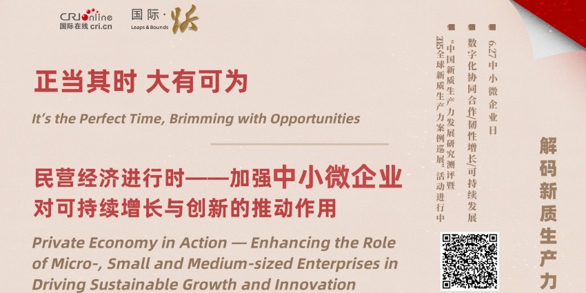 民营经济进行时——加强中小微企业对可持续增长与创新的推动作用