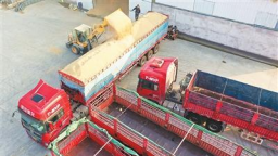 大国粮仓家底更厚实
