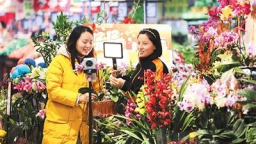 更大力度支持惠民生和提振消费