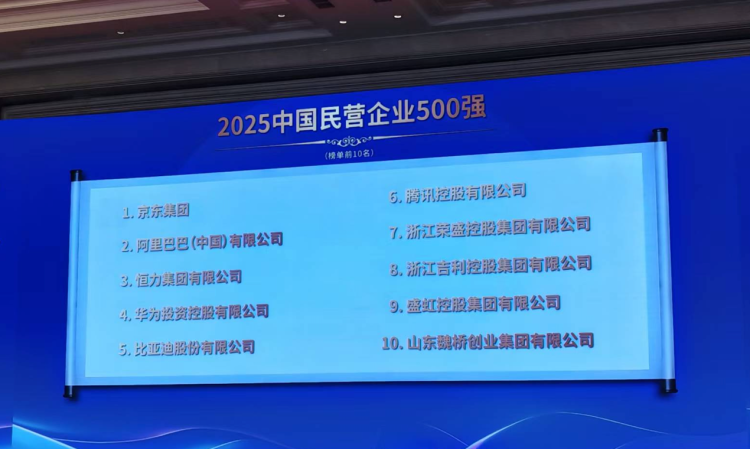 “2025民营企业500强”出炉：腾讯、荣盛控股、比亚迪为纳税三强_fororder_1