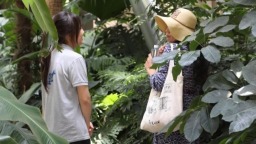 会“十八般武艺”懂“情绪价值” “深度游”催热民宿管家新赛道