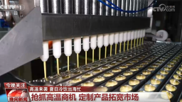 “夏日经济”释放外贸活力 国产冷饮向新向智走俏海外市场