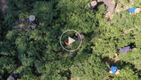 《在南平，看见美丽中国》_fororder_70