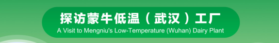全球体验官探厂 解码中国乳业——探访蒙牛低温武汉工厂