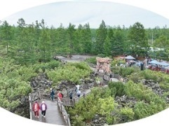 避暑气候旅游发展大会在阿尔山举办