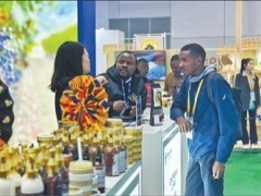 第八届虹桥国际经济论坛举行