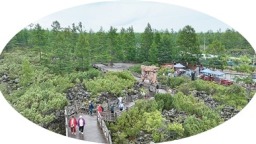 避暑气候旅游发展大会在阿尔山举办