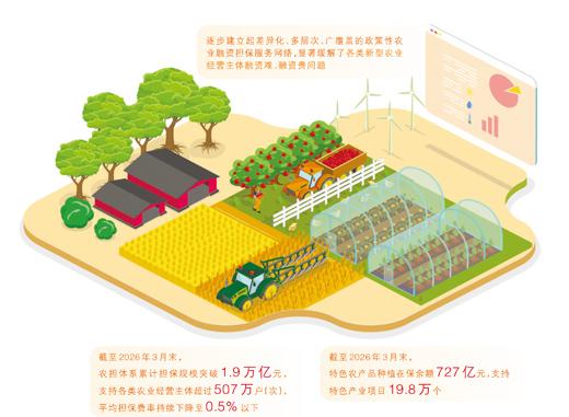 政策性农担这样稳粮富农（财经深一度）