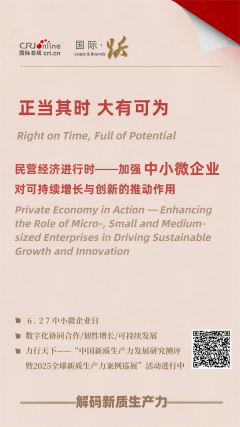 民营经济进行时——加强中小微企业对可持续增长与创新的推动作用