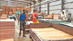 木材产业 为加蓬经济添动力