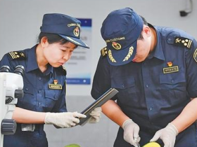 “广阔的中国市场是我们的新机遇”（零关税·促共赢）