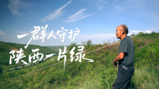 看生态变迁 听种树故事——国际在线与银泰百货邀你一起“云”看公益林
