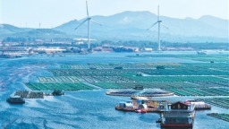 上半年海洋经济稳中向好