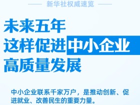 未来五年 这样促进中小企业高质量发展