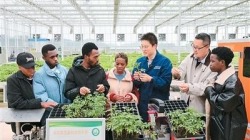 中非多领域合作取得里程碑式的巨大成就