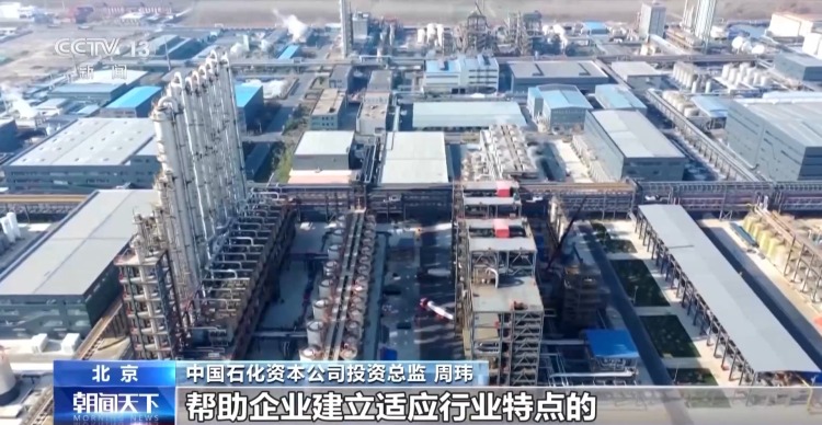 我国最大绿色氢氨项目正式投产 电力100%来自上游绿电