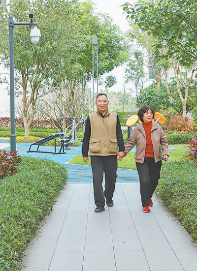 老两口三赴海南过冬 次次都有新体验