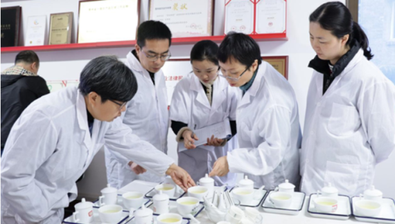 金奖茶揭晓！2026年贵州早春茶斗茶赛审评活动在贵阳举行_fororder_评选