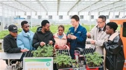 中非多领域合作取得里程碑式的巨大成就