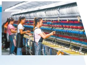 “东绸西固”织就茧丝绸产业新局