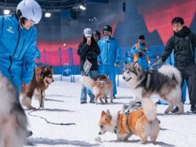 新潮运动“破圈”——暑期体育消费的新增长极