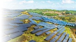 坚持“双碳”引领 推动全面绿色转型