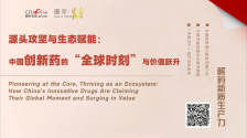 源头攻坚与生态赋能：中国创新药的“全球时刻”与价值跃升