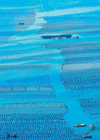 呼吁促进海洋生态文明建设