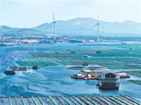 上半年海洋经济稳中向好