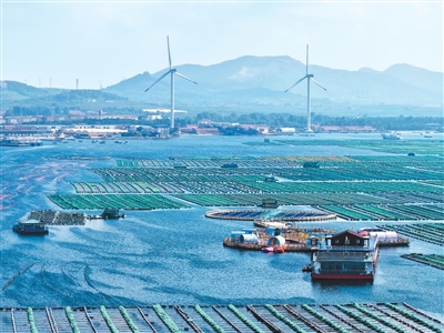 上半年海洋经济稳中向好