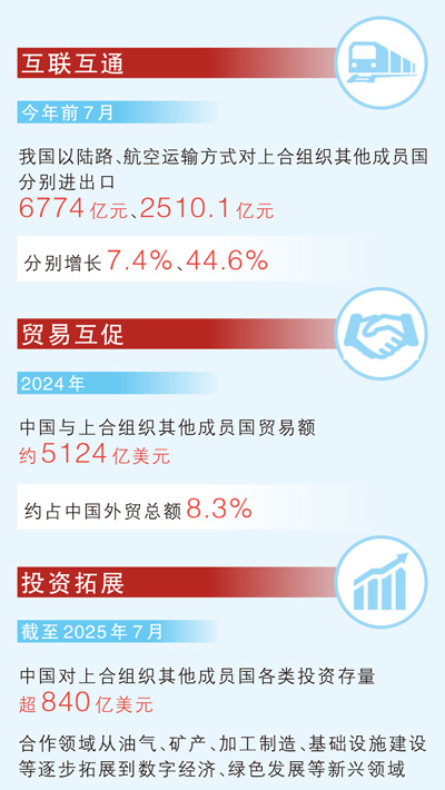 从三个交通枢纽看上合经贸活力