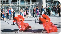 华裔新生代：中国智造就是“酷”（侨界关注）