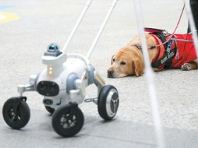 智能导盲犬亮相深圳