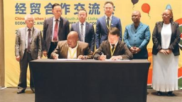 “零关税”东风吹热华商在非新赛道（侨界关注）