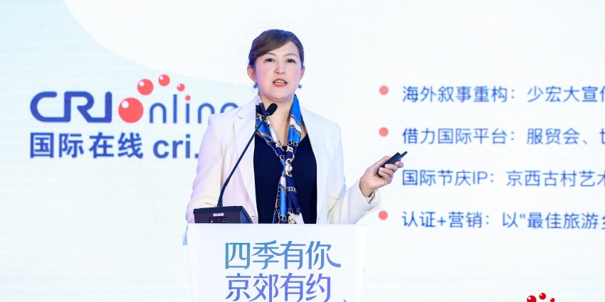 张莉：以IP为媒对话世界 探寻乡村文旅“走出去”的中国样本