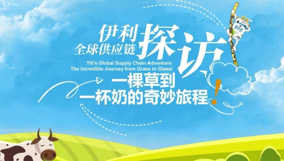 伊利全球供应链探访：一棵草到一杯奶的奇妙旅程！