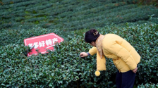 拼多多发布Q1财报 赵佳臻：新一届团队将埋头苦干 以行动和成果回应关切和期许