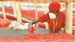 “广阔的中国市场是我们的新机遇”（零关税·促共赢）